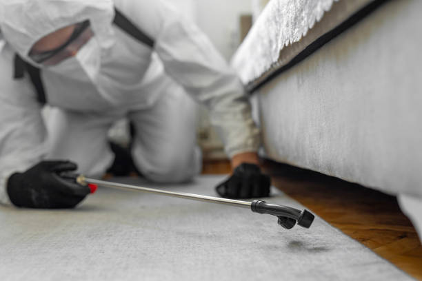 Professional Cockroach Control technician working in West Belmar, NJ